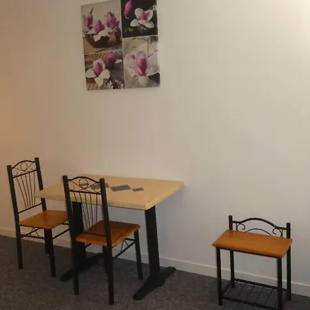 Etanit ! Plein Centre - 1mn Du Bus, De La Gare Du Train Et Liaison Aeroport -chambres Climatisees -spacieuses Amenagees Pour Singles, Couple, Et Ou Familles -parking A Velos -consigne